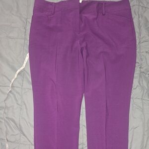 New York & Company Rich Purple Pants